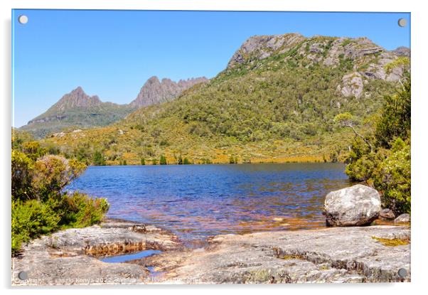 Lake Lilla and  Cradle Mountain - Tasmania Acrylic by Laszlo Konya