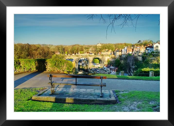 View Of Knaresborough Viaduct  Framed Mounted Print by Alison Chambers