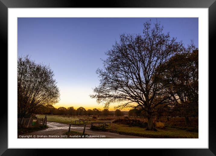 Richmond Park Sunrise Framed Mounted Print by Graham Prentice