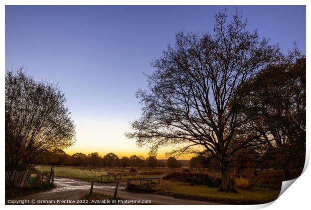 Richmond Park Sunrise Print by Graham Prentice