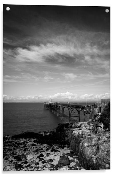 Clevedon Pier Acrylic by Chris Rose