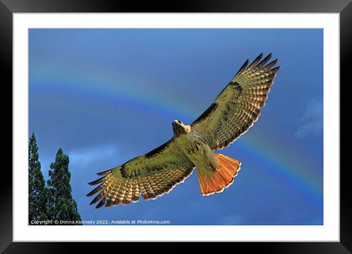 Under A Rainbow Framed Mounted Print by Donna Kennedy