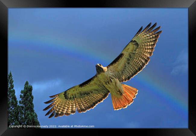 Under A Rainbow Framed Print by Donna Kennedy