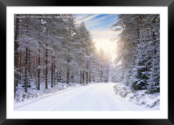 Winter Sun Over Forest Road Framed Mounted Print by Taina Sohlman