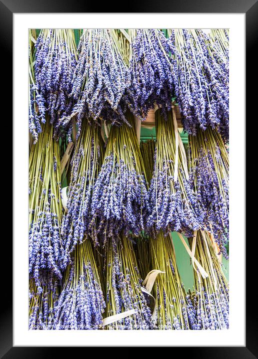 Lavender background from Verdon gorge, Provence, France Framed Mounted Print by Nicolas Boivin