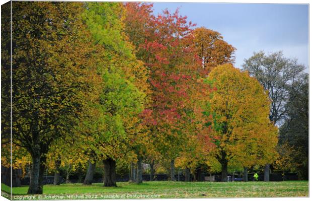 Autumn in North Inch Park, Perth, Perthshire, Scotland, 2014 Canvas Print by Jonathan Mitchell