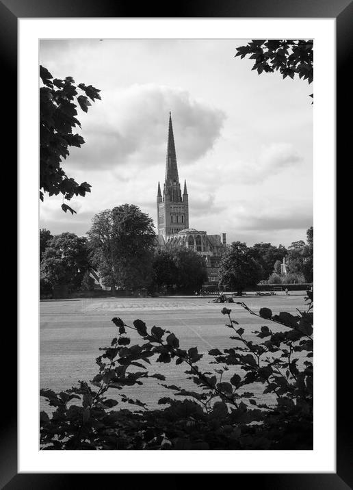 View of Norwich cathedral Framed Mounted Print by Travel and Pixels 