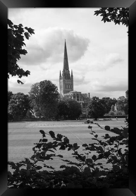 View of Norwich cathedral Framed Print by Travel and Pixels 