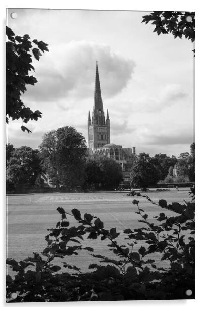 View of Norwich cathedral Acrylic by Stuart Chard