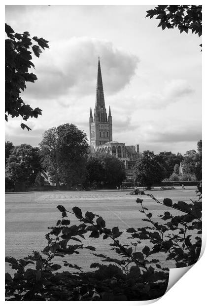 View of Norwich cathedral Print by Travel and Pixels 