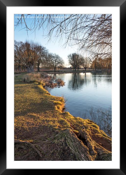 Tree roots beside water Framed Mounted Print by Kevin White