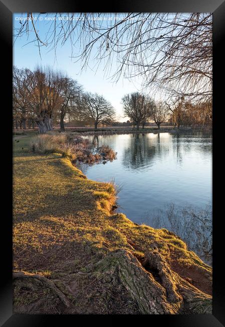 Tree roots beside water Framed Print by Kevin White