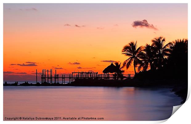 Sunset at Key West islands, Florida. USA Print by Nataliya Dubrovskaya