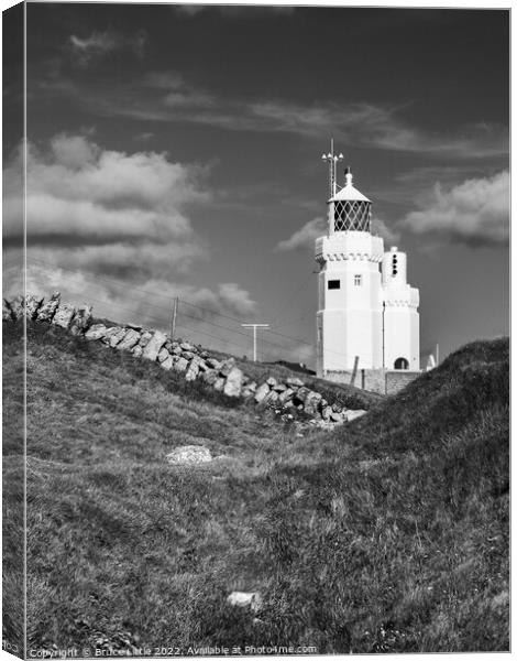 St Catherine's Lighthouse Canvas Print by Bruce Little