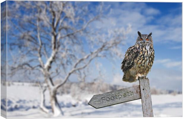 Eurasian Eagle Owl Perched in Winter Canvas Print by Arterra 