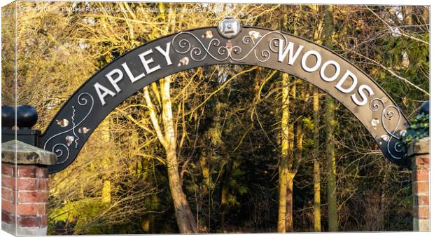 The Entrance into Apley Woods, Telford Canvas Print by Pamela Reynolds
