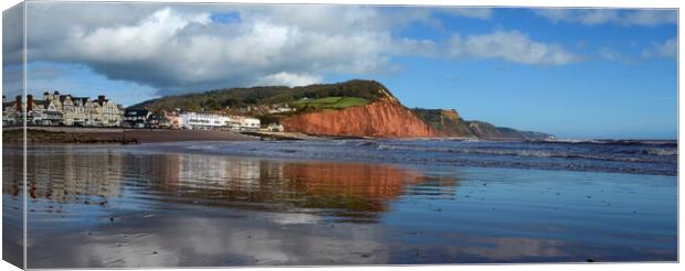 Sidmouth Reflections Canvas Print by David Neighbour