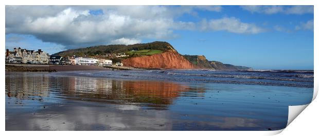 Sidmouth Reflections Print by David Neighbour