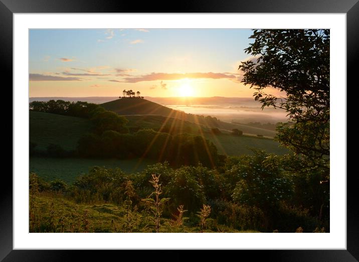 Summer at Colmer's Hill Framed Mounted Print by David Neighbour