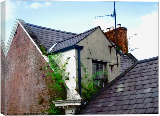 Roofs of Derry Canvas Print by Stephanie Moore