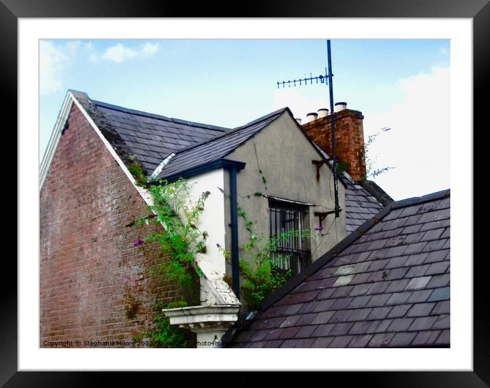 Roofs of Derry Framed Mounted Print by Stephanie Moore