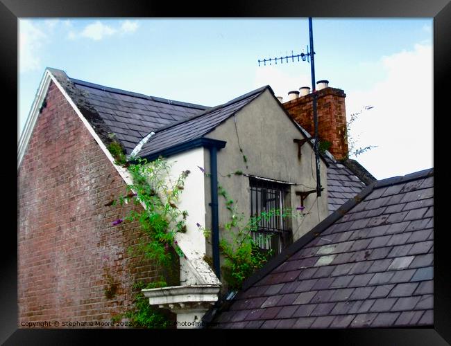 Roofs of Derry Framed Print by Stephanie Moore