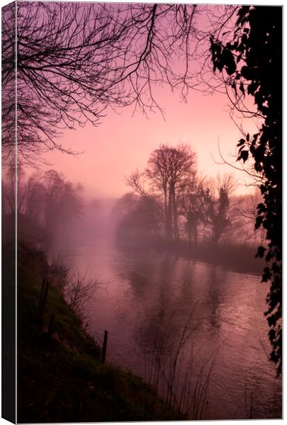 Tamar River Dusk Canvas Print by Maggie McCall