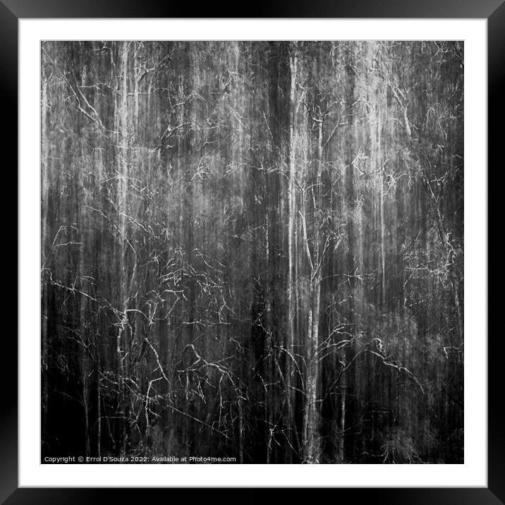 Into the Mysterious Forest Framed Mounted Print by Errol D'Souza