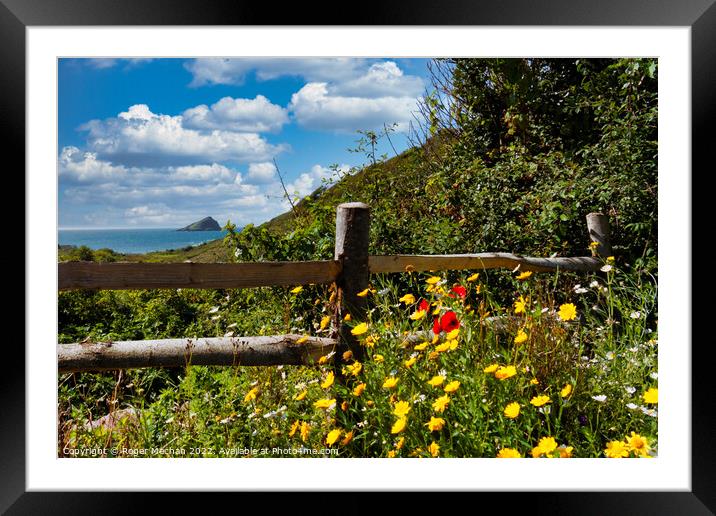 The Flora of Wembury Bay Framed Mounted Print by Roger Mechan