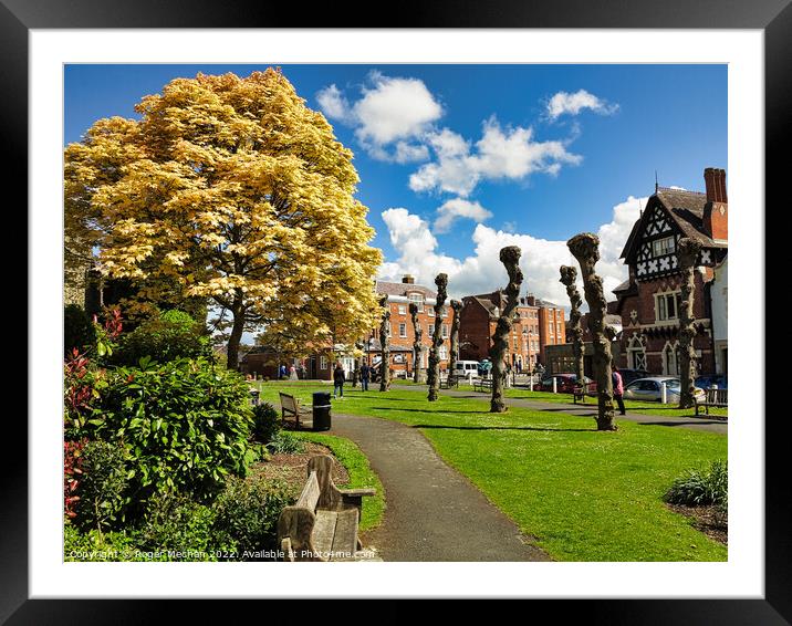 Gold Acer Tree in the Heart of Ludlow Framed Mounted Print by Roger Mechan