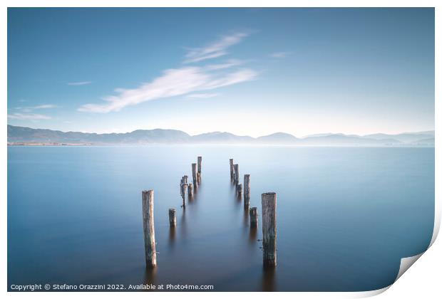 Wooden pier remains at sunrise. Massaciuccoli lake. Print by Stefano Orazzini