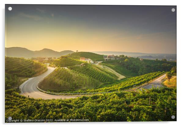 Vineyards and a road at sunrise. Prosecco Hills, Unesco Site. Acrylic by Stefano Orazzini
