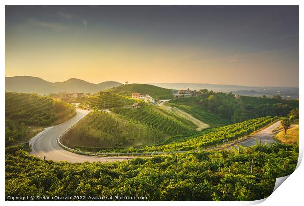Vineyards and a road at sunrise. Prosecco Hills, Unesco Site. Print by Stefano Orazzini