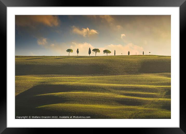 Rolling hills, cypress and pine trees. Tuscany, Italy Framed Mounted Print by Stefano Orazzini