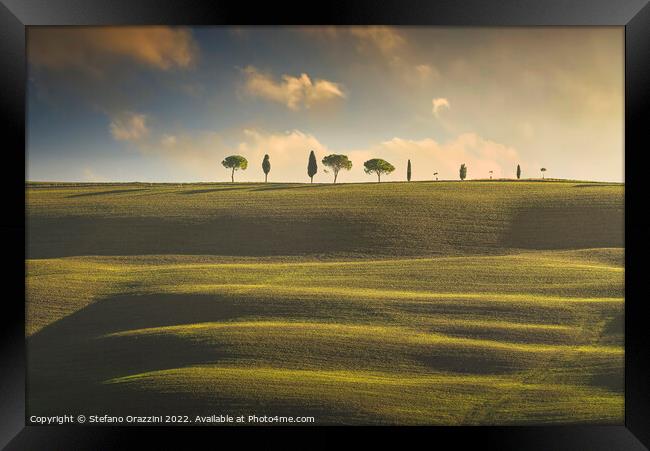 Rolling hills, cypress and pine trees. Tuscany, Italy Framed Print by Stefano Orazzini