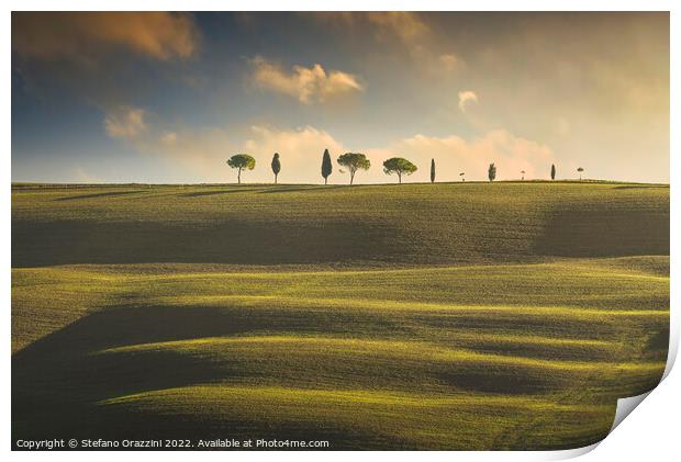 Rolling hills, cypress and pine trees. Tuscany, Italy Print by Stefano Orazzini