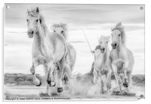Chase on the Beach 1 Black and White Acrylic by Helkoryo Photography