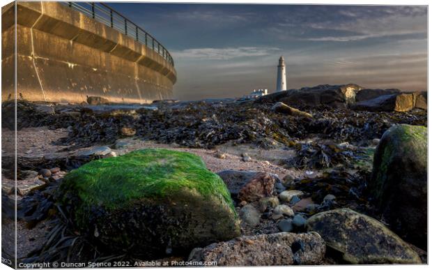 St Mary's Lighthouse Canvas Print by Duncan Spence