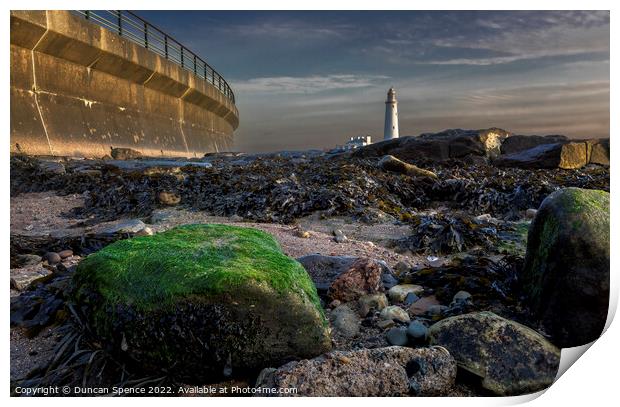 St Mary's Lighthouse Print by Duncan Spence