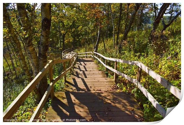 Stairs Indian Lake 3A Print by Philip Lehman