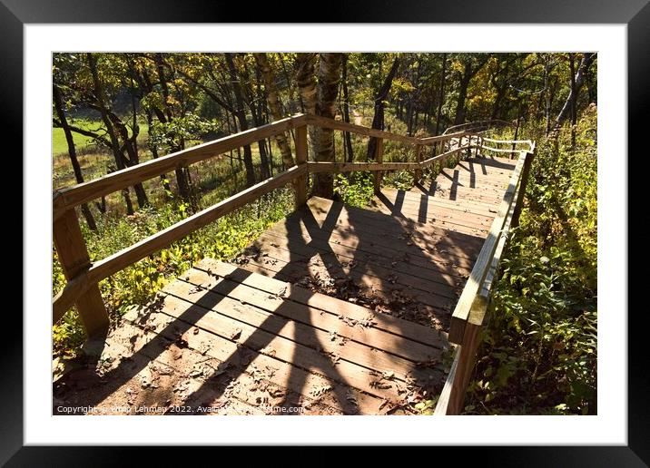 Stairs Indian Lake 1A Framed Mounted Print by Philip Lehman