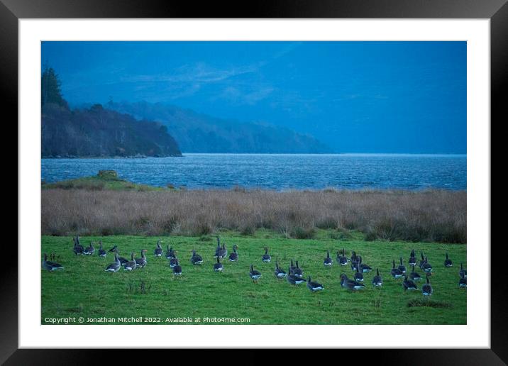 Greylag Geese, Kyle of Sutherland, Scottish Highlands, Scotland, 2019 Framed Mounted Print by Jonathan Mitchell