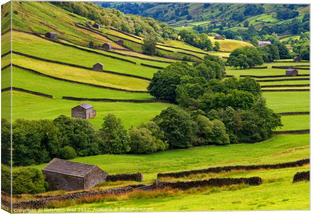 Rolling Hills of Swaledale Canvas Print by Northern Wild