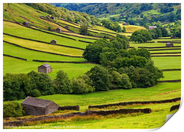 Rolling Hills of Swaledale Print by Northern Wild