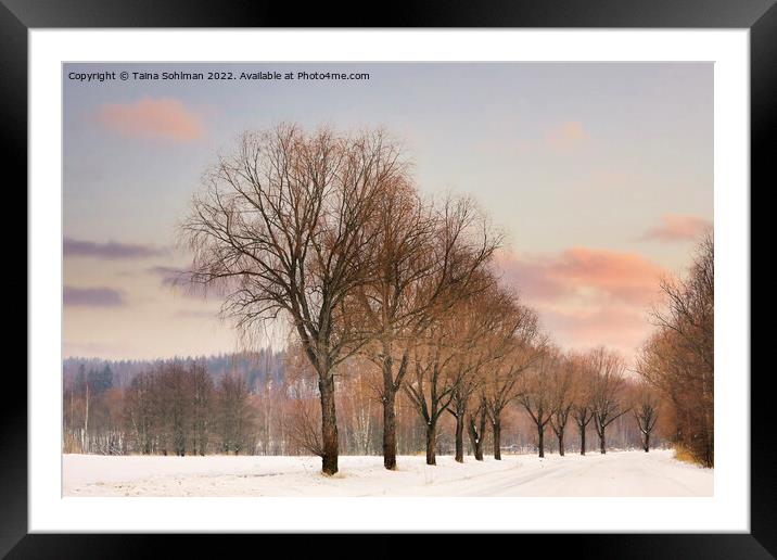 Willow Trees by Rural Road at Winter Sunset Framed Mounted Print by Taina Sohlman