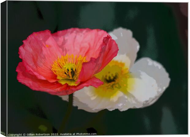 Poppies Canvas Print by Gillian Robertson