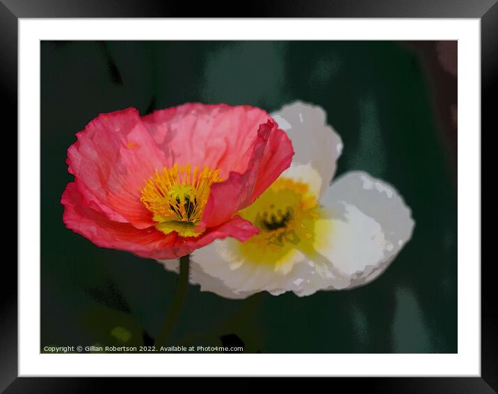 Poppies Framed Mounted Print by Gillian Robertson
