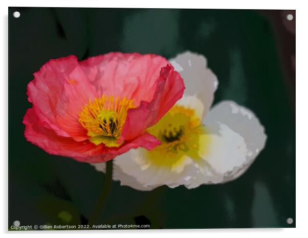 Poppies Acrylic by Gillian Robertson