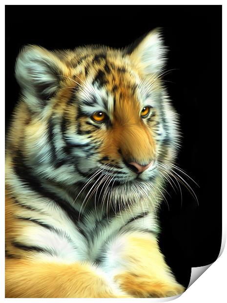 Tiger Cub Print by Julie Hoddinott