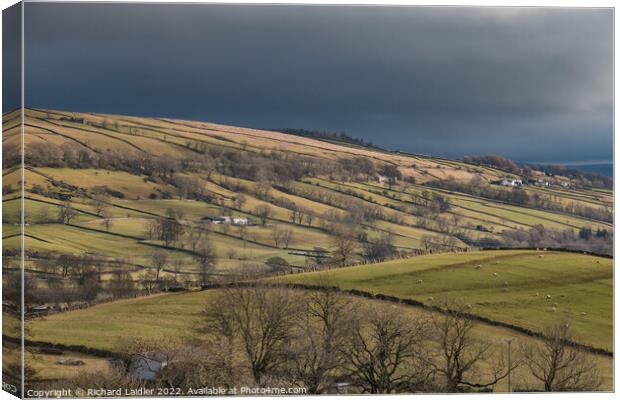 Middle Side from Holwick, Teesdale Canvas Print by Richard Laidler